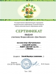 Сертифика участнику Всероссийского Дня Эколят, 2022